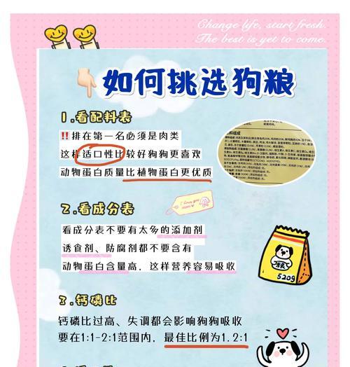 阿拉斯加什么时候开始吃硬狗粮？（了解阿拉斯加适应硬狗粮的时间及方法）(图3)