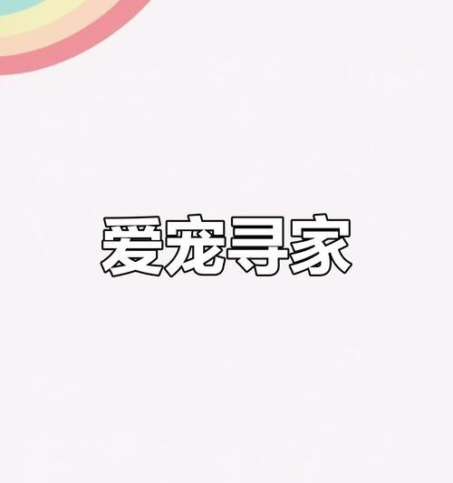 狗狗驱虫和疫苗接种的正确时间安排（宠物养护必须知道的关键信息）(图4)