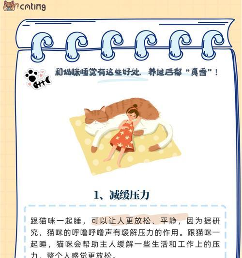 如何训练猫咪不上床（有效方法和关键技巧教你让猫咪不再在床上乱蹦）(图1)