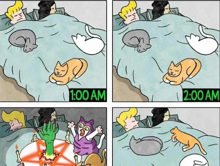 如何训练猫咪不上床（有效方法和关键技巧教你让猫咪不再在床上乱蹦）(图2)