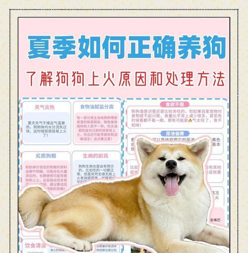 狗狗每天的饮水量和禁忌（狗狗的水分需求和不能喝的水）(图3)