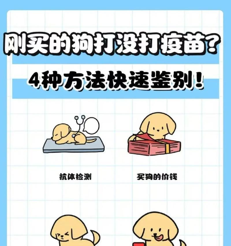 新买狗狗多久可以打疫苗？（宠物狗疫苗接种时间及重要性）(图1)