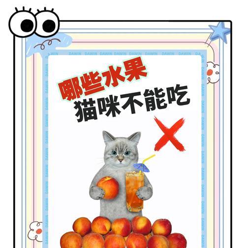 家里来人，猫咪不吃饭了怎么办？（如何处理猫咪因家中来人而拒食的问题）(图3)