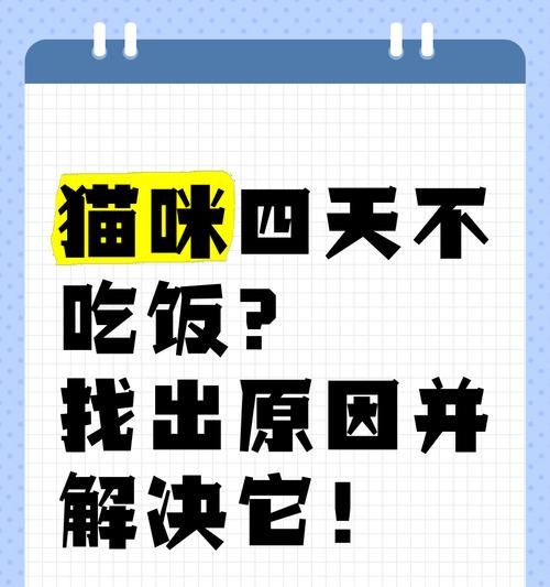 家里来人，猫咪不吃饭了怎么办？（如何处理猫咪因家中来人而拒食的问题）(图2)