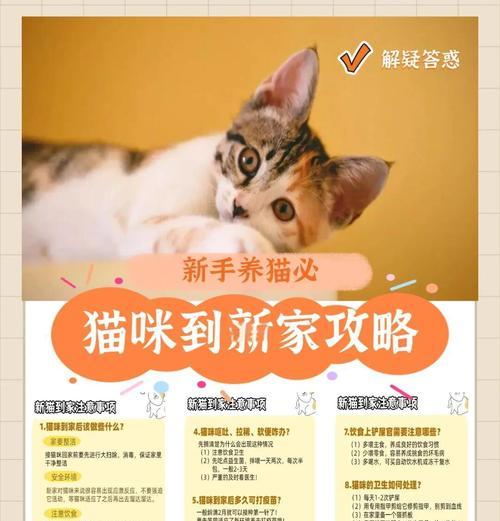 猫咪进新家适应时间与方法｜全面指南