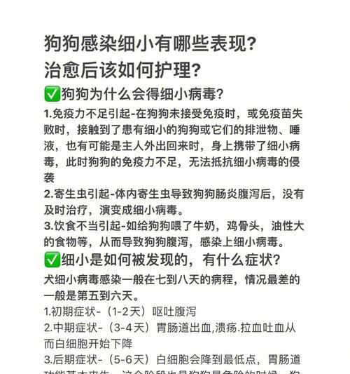 细小病毒康复后疫苗接种时间指南｜科学建议