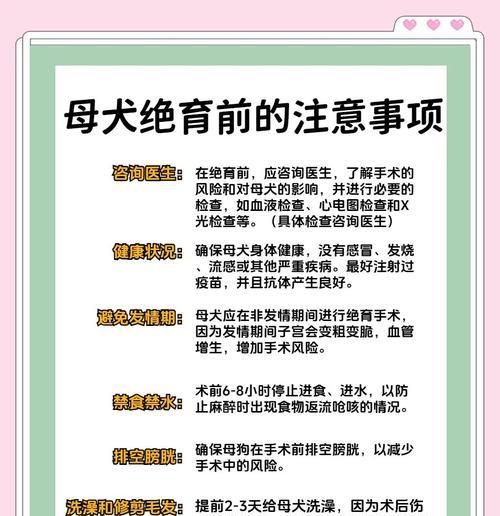 小狗伤口处理与洗澡的正确时间（小狗伤口恢复需要注意的时间和方式）(图1)