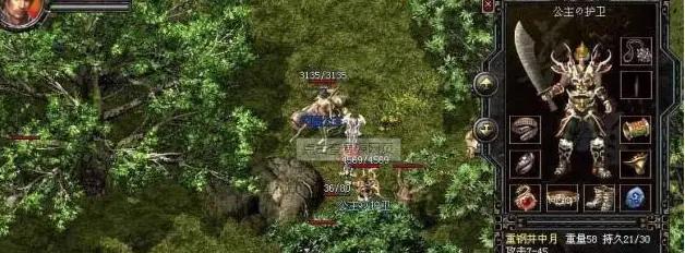 带宠物进行长途旅行的禁食时间及注意事项（为猫咪做旅行准备，掌握禁食时间）(图1)