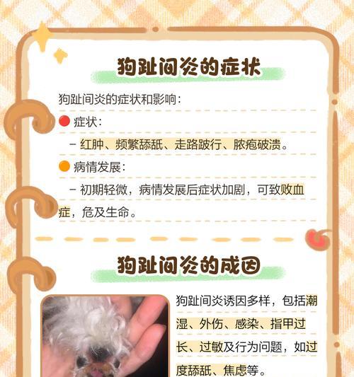 狗脚趾炎（了解康复时长，预防和治疗策略）(图3)