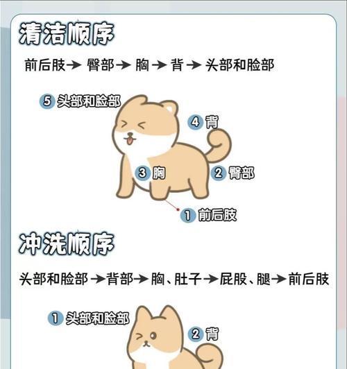 小狗洗澡后多久可以进行体内驱虫？（科学解析洗澡与驱虫的最佳时间间隔）(图3)