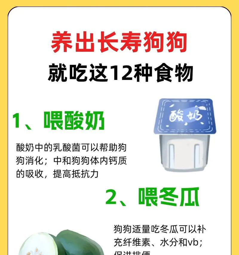 狗狗的饮食之道（为你的宠物选择最佳食物，）(图3)
