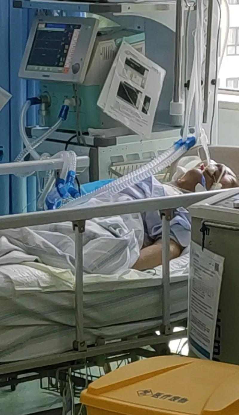 宠物生病（面对高昂的治疗费用，如何做出正