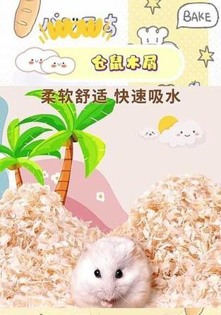 垫料选择对仓鼠健康影响全攻略