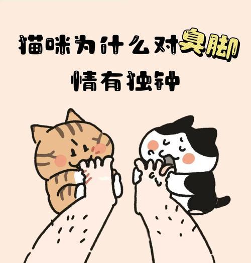 猫咪摔倒时总能用脚着地的科学原理（揭秘猫咪的“天生反摔技能”）(图2)