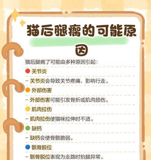 猫咪摔倒时总能用脚着地的科学原理（揭秘猫咪的“天生反摔技能”）(图1)