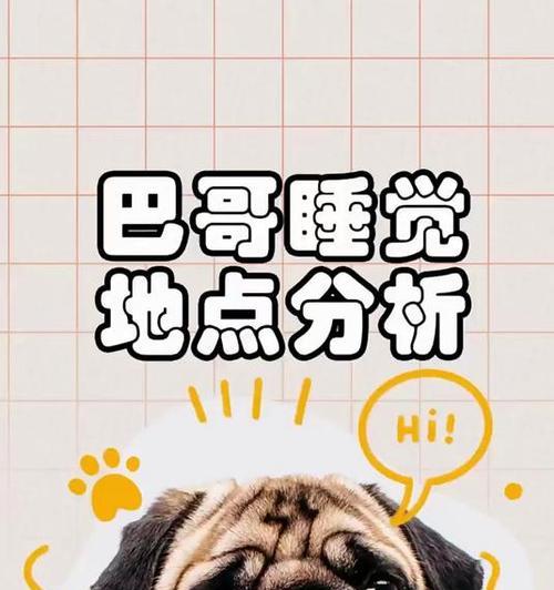 以巴哥犬的睡眠习惯与需求（探究以巴哥犬睡眠时长及影响因素）(图2)