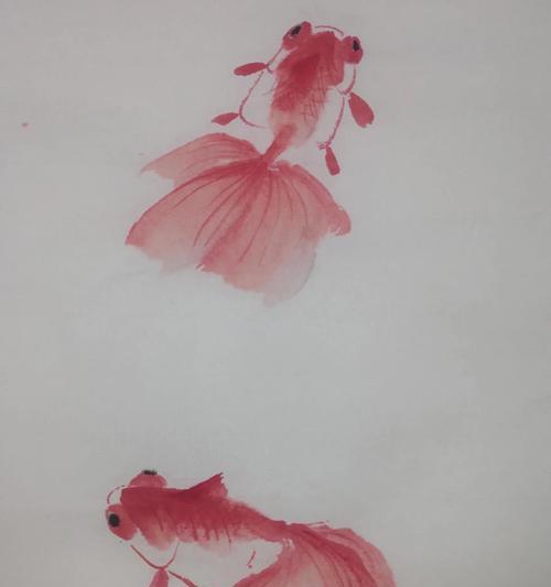 探索金鱼世界中最美的品种（挑选最迷人的金鱼品种，从色彩到体型一一赏析）(图1)