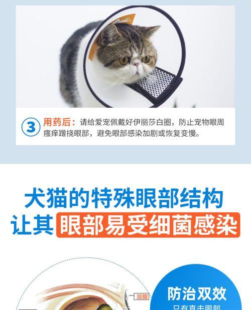 宠物眼药水的保质期探究（了解宠物眼药水过期时间及其影响）(图2)