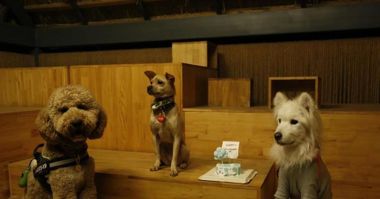 罗威纳犬与孩子相处的益处（亲子互动、健康促进、情感支持——罗威纳犬成为理想伴侣）(图3)