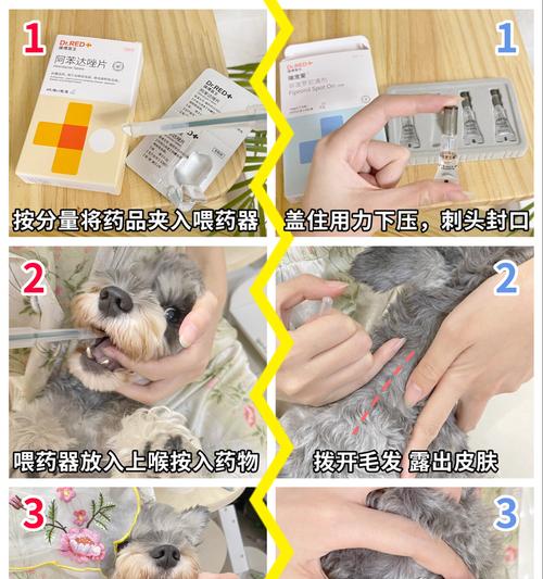 狗狗产后多久能洗澡？（宝贝狗狗产后洗澡的注意事项）(图2)