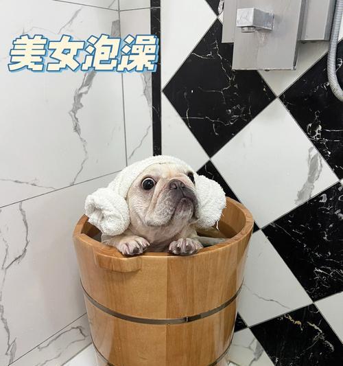 宠物药浴180效果解析｜宠物护理全攻略(图1)