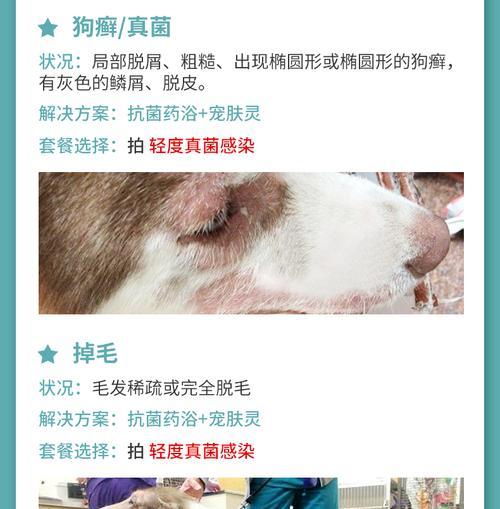 宠物药浴180效果解析｜宠物护理全攻略(图3)