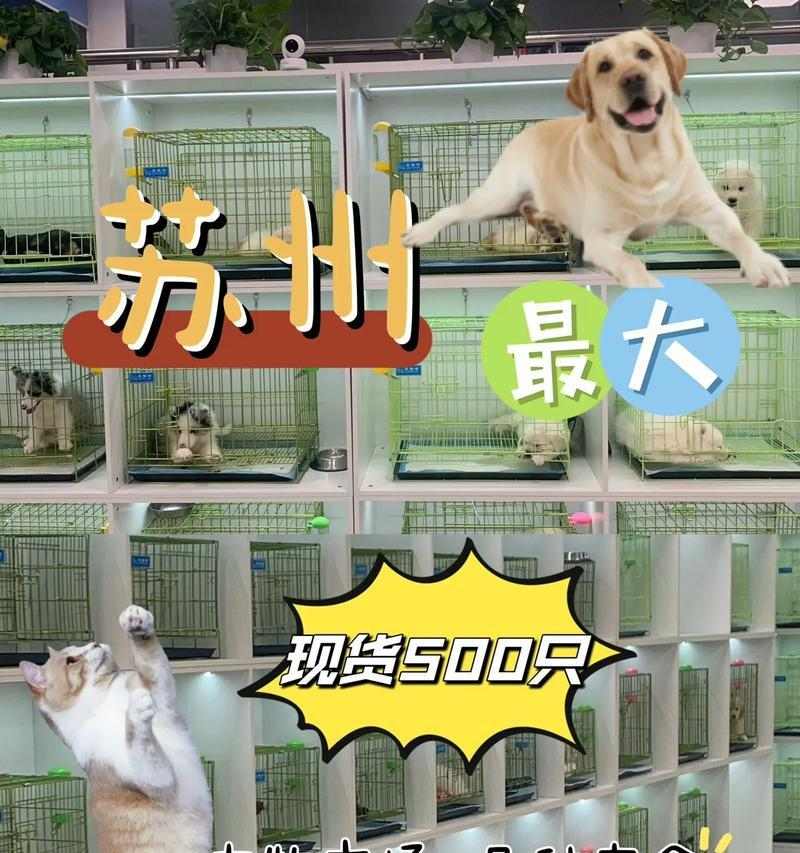 选择宠物繁殖特性全攻略(图2)
