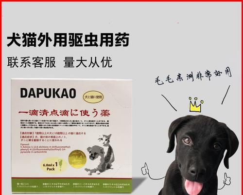 猫体外驱虫药类型与使用方法｜宠物健康实用指南(图1)