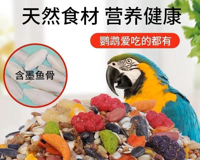 鹦鹉饮食全攻略｜科学喂养与营养搭配指南(图2)
