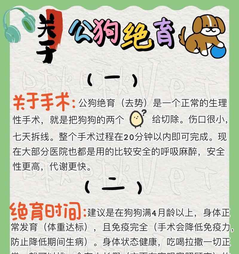 狗狗绝育手术最佳时机全攻略(图2)