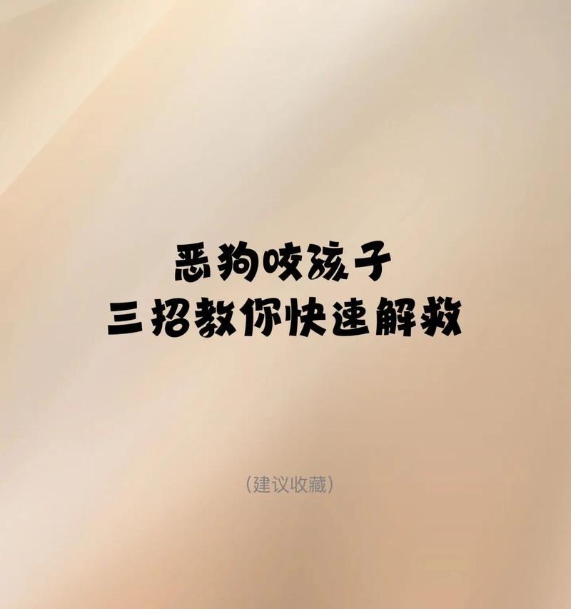 狗狗咬人攻击怎么办｜科学处理全攻略(图3)