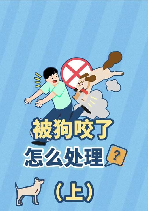 狗狗咬人攻击怎么办｜科学处理全攻略(图2)