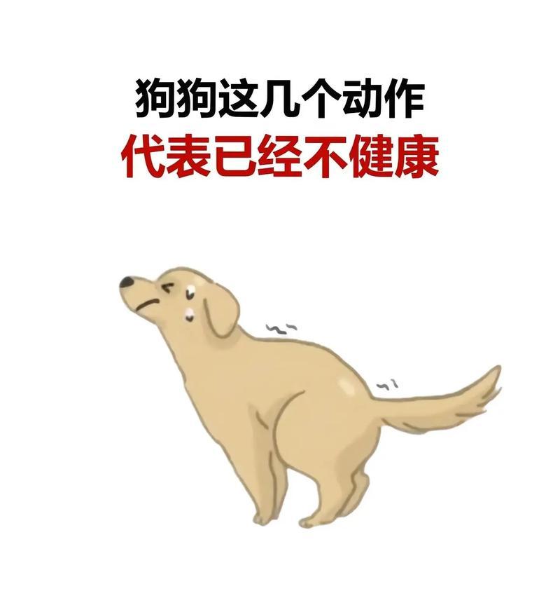 去除狗味全攻略，让你的家恢复清新空气(图3)