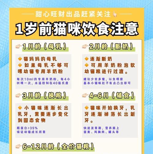 幼猫奶粉喂养知识全攻略(图1)