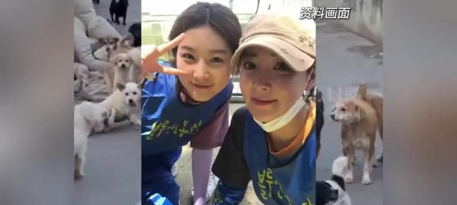 韩国著名犬舍全攻略(图3)
