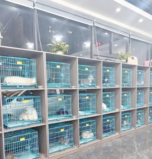 韩国著名犬舍全攻略(图1)