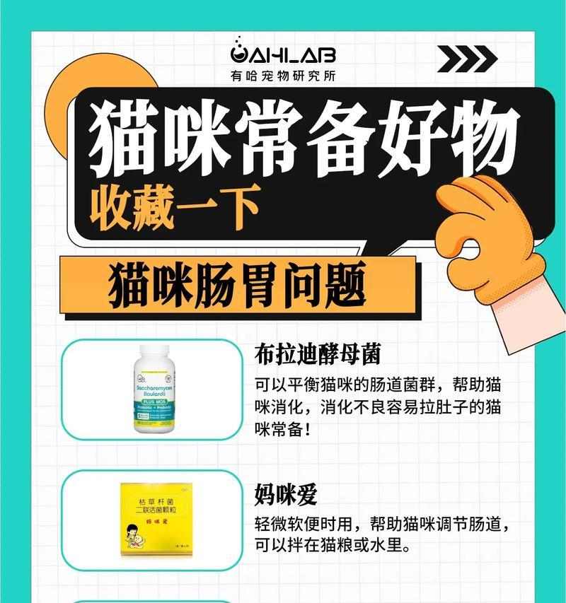 给猫上完药多久见效｜观察时间和注意事项全攻略(图3)