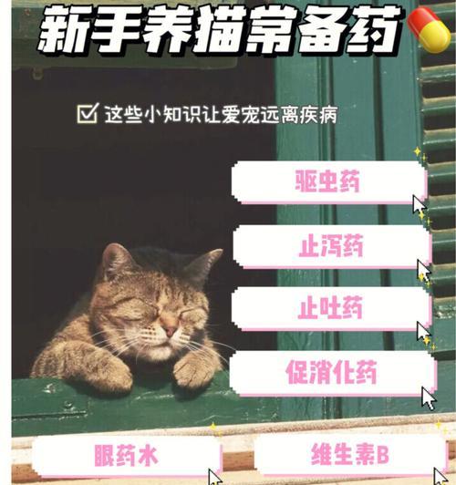 给猫上完药多久见效｜观察时间和注意事项全攻略(图2)