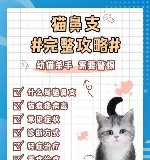 给猫上完药多久见效｜观察时间和注意事项全攻略(图1)