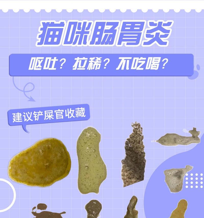 猫咪腹泻原因及用药治疗注意事项全攻略(图1) 猫咪腹泻原因及用药治疗注意事项全攻略(图1)