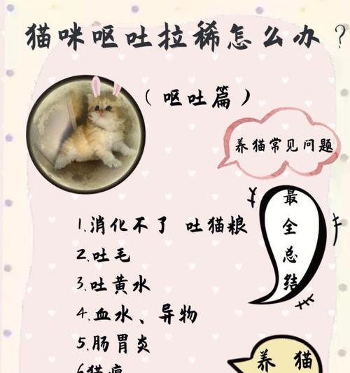 猫咪腹泻原因及用药治疗注意事项全攻略(图4) 猫咪腹泻原因及用药治疗注意事项全攻略(图4)