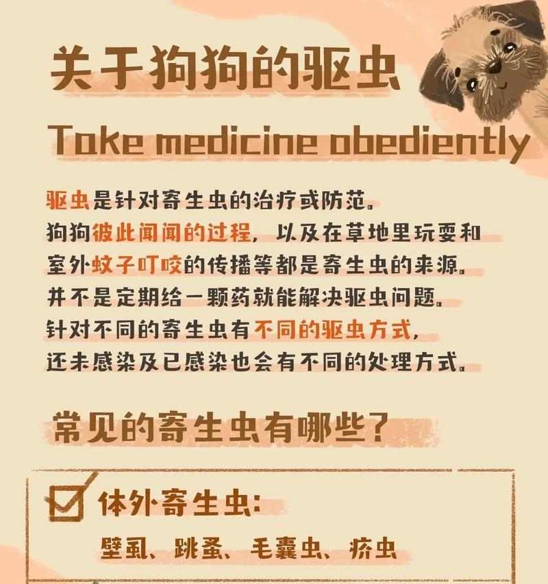 1岁半狗狗驱虫频率全攻略(图3) 1岁半狗狗驱虫频率全攻略(图3)