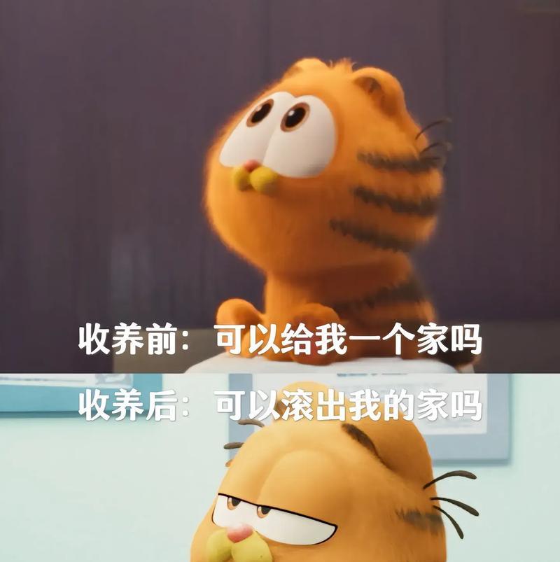 养加菲猫的坏处及注意事项全攻略(图1) 养加菲猫的坏处及注意事项全攻略(图1)
