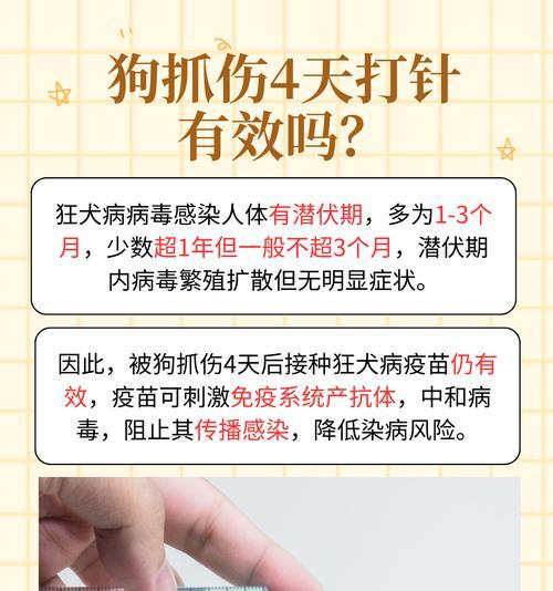 狗狗狂犬疫苗接种时间与重要性｜宠物健康全攻略(图1)