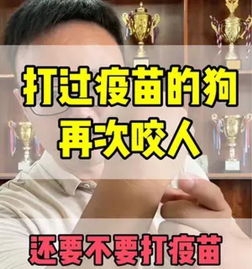 狗狗狂犬疫苗接种时间与重要性｜宠物健康全攻略(图3)