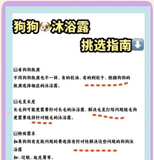 博美幼犬新环境洗澡时间与适应性培养全攻略(图1)
