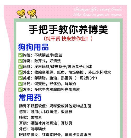 博美幼犬新环境洗澡时间与适应性培养全攻略(图3)