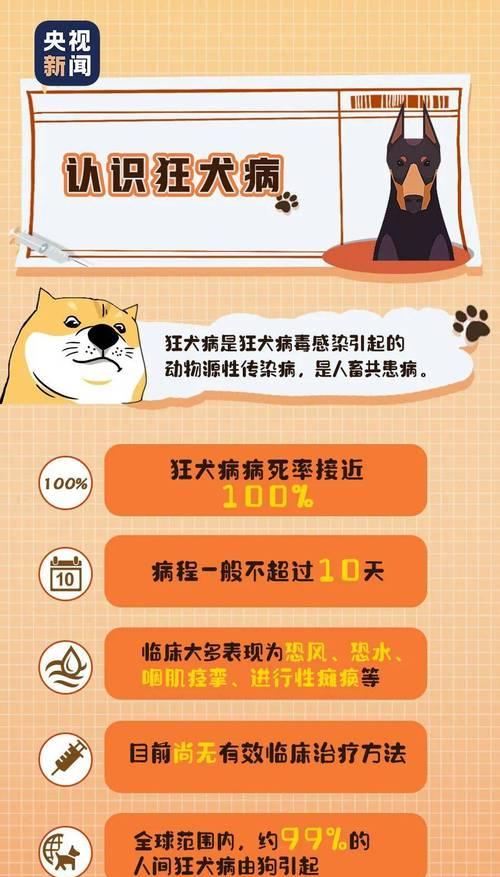 狗狗狂犬疫苗接种时间与重要性｜宠物健康全攻略(图2)