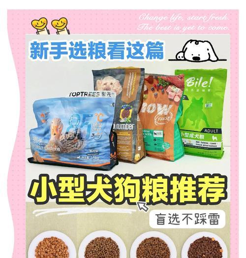小狗何时开始吃狗粮｜科学喂养全攻略(图1)