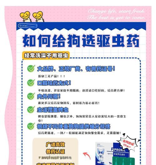 如何正确给狗狗驱虫全攻略(图1)